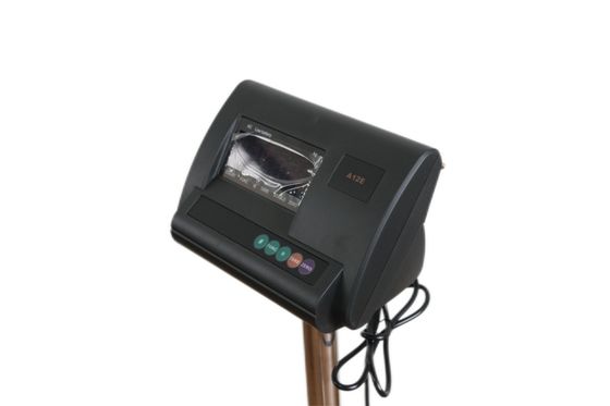 Gepersonaliseerde ondersteuning Weighbridge Indicator A12 voor optionele weergave Type Platform Scale